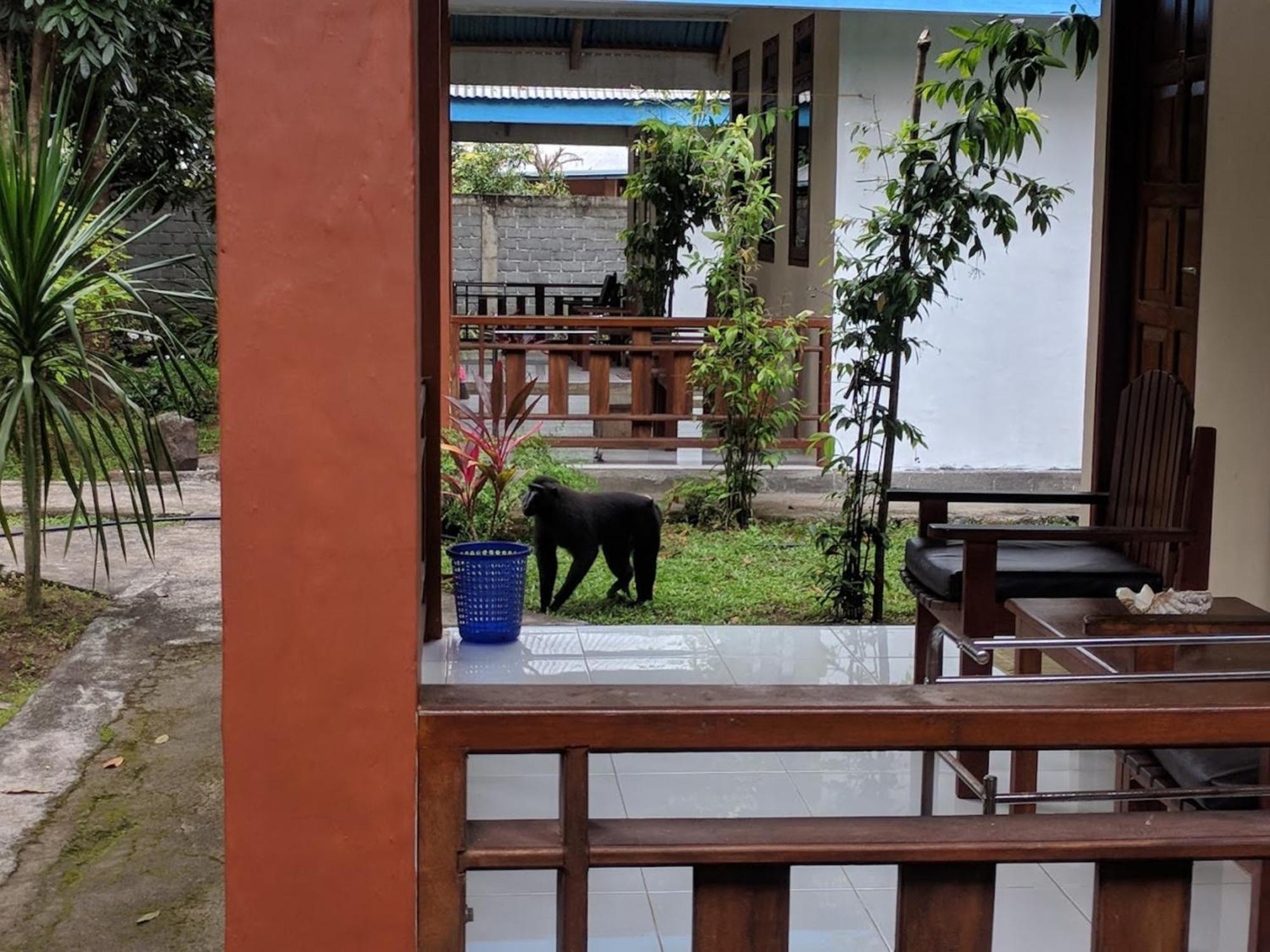 Tangkoko Macaca Hotel Rinondoran Екстериор снимка